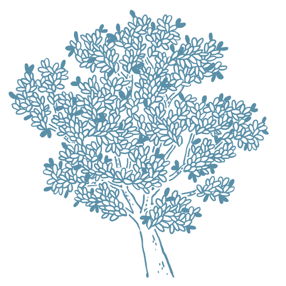 Illustration d'un arbre representant le Self leadership en IFS